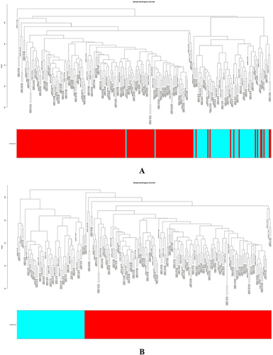 Figure 2 Continued.