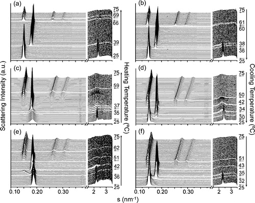 Figure 3. Sequence of SAXS (left) and WAXS (right) scattering patterns of (a, b) DEPE, (c, d) DEPE:FN (20:1, mol:mol) and (e, f) DEPE:GG (20:1, mol:mol). The scan rate was 1°C/min. Successive diffraction patterns were collected for 15 s every minute. The thermal sequence of the transition from (Lc + HII) to Lα and Lα-to-HII phases was clearly observed in the heating scan. A Lβ phase occur at the end of the cooling scan. The Lc and Lβ phases were identified by the reflections in the WAXS region. The Lα phase was identified by a single peak of reflection in the SAXS region with a very good signal-to-noise ratio. The HII phase was characterised by the appearance of three diffraction orders in the SAXS region with a d-spacing ratio of 1:1/√3:1/√4.
