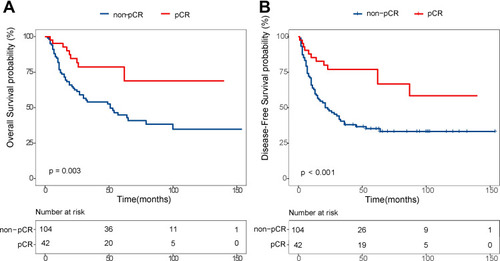 Figure 1 Comparison of overall (A), disease-free survival (B) between pCR group and non-pCR.
