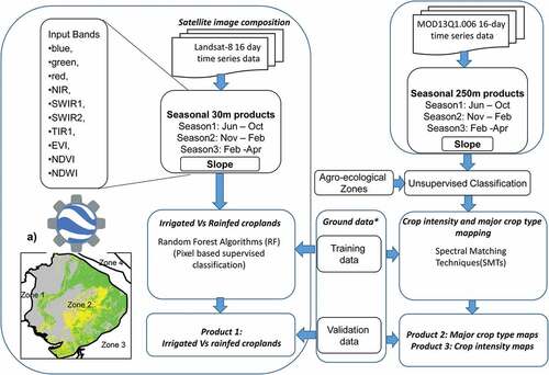 Figure 7. Methodology used for mapping three cropland products for the whole of South Asia. Product 1: Irrigated croplands versus rainfed croplands using landsat 8 data at 30 meters resolution in the google earth engine (GEE) interface. Products 2 and 3: Cropping intensity and crop type using MODIS 250 meters data on earth resources data analysis system (ERDAS) imagine.