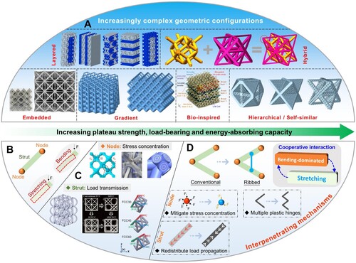 Figure 1. Design concept. (A) Increasingly complex geometric configurations including layered [Citation10], hybrid [Citation13], embedded [Citation16,Citation17], gradient [Citation18], bioinspired [Citation19] and hierarchical structures [Citation21]. (B) Illustration of bending and stretching in an inclined strut. (C) Improvements to node stresses [Citation27–29] and strut loads [Citation25,Citation30,Citation31]. (D) Concepts and significance of ribbed strategy for truss-lattice metamaterials.