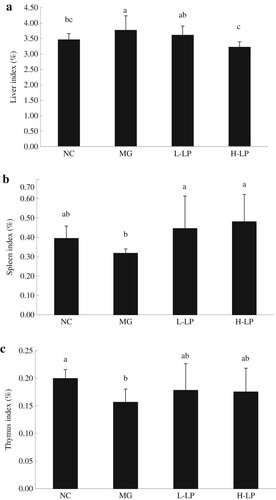 Figure 2. Effect of LP on liver indices (a), spleen indices (b), and thymus indices (c) in each group. NC, normal control group; MG, model group; L-LP, low dose of loach meat paste; H-LP, high dose of loach paste. Values are mean ± S.D (n = 15); means with different letters (a–d) differ significantly (p < .05).