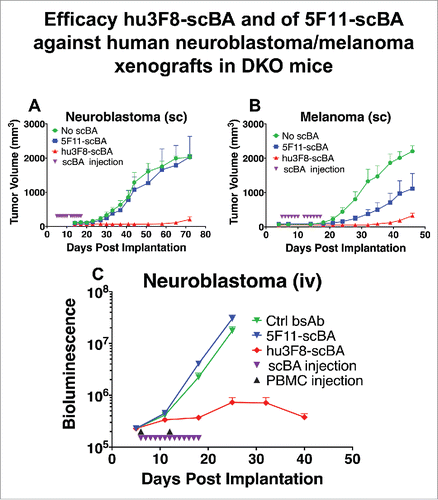 Figure 5. Efficacy of 5F11-scBA and hu3F8-scBA against human neuroblastoma/melanoma xenografts in DKO mice. (A) Neuroblastoma (IMR-32) or (B) melanoma (M14) and PBMCs were mixed (1:1) and coinjected subcutaneously on day 0. Treatment with scBA initiated on day 5, with 180 picomoles daily for 12 d (2 weeks). (C). Neuroblastoma (IMR32) cells and PBMCs were injected intravenously. 0.5 million neuroblastoma cells were injected on day 0, PBMCs were injected on days 6 and 12, and scBA treatment was initiated on day 6 at 180 picomoles daily for 13 d. n = 5 for each group. Bioluminescence is quantified as emitted photos per whole mouse per second.