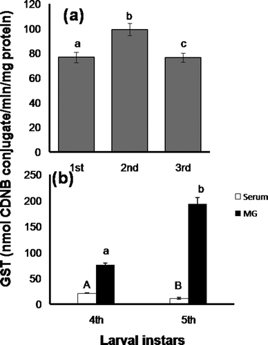 Figure 5. Changes in glutathione S-transferase activity (nmol CDNB conjugate formed/min/mg protein) in (a), whole-body homogenate of early larval stages and (b), serum and midgut of 4th and 5th instar larvae. Data are expressed as mean ± SEM (n = 6). Means having superscripts of different letters [lower case (a–b): early larva and midgut; upper case (A–B): serum] represent a significant difference from each other within identical tissue (p < 0.05).