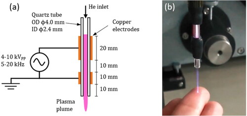 Figure 10. (a) Schematic and (b) image of the atmospheric pressure jet (APPJ) (plasma plume was visible during operation) [Citation155] (Reprinted from J Phys D 52, 075203 (2019)).