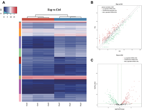 Figure 3 (A) The hierarchical clustering heatmap for miRNA. The color in the panel represents the relative expression level (log2-transformed). The color scale is show below: blue represents an expression level below the mean, and red represents an expression level above the mean. The colored bar top at the top panel showed the samples group, and the colored bar at the right side of the panel indicated the divisions which were performed using K-means. (B) The scatter plot between two groups for miRNA. The values of X and Y axes in the scatter plot are the averaged CPM values of each group (log2 scaled). miRNAs above the top line (red dots, up-regulation) or below the bottom line (green dots, down-regulation) indicate more than 1.5 fold change between the two compared groups. Gray dots indicate non-differentially expressed miRNAs. (C) The volcano plot of miRNA. The values of X and Y axes in the volcano Plot are log2 transformed fold change and -log10 transformed p-values between the two groups, respectively. (Red: up-regulated; Green: down-regulated). Gray circles indicate non-differentially expressed miRNAs.