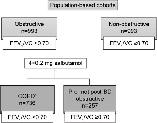 Figure 1 Study population by spirometric classification.