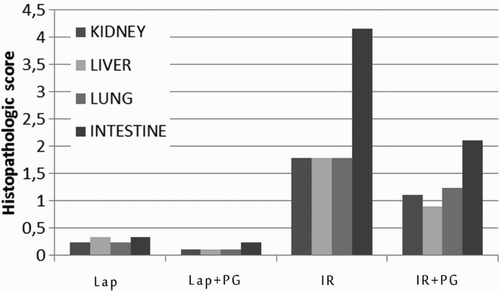 Figure 4 Comparison of the lung, kidney, intestinal, and liver histopathologic score levels in the groups. Lap, laparotomy; PG, pomegranate; IR, ischemia–reperfusion.