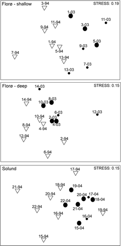 Figure 3.  Two-dimensional MDS (non-parametric multi-dimensional scaling) ordination showing Bray–Curtis similarities for: A. Seven sites in the shallow interval (5–15 m) in the Florø–Stadt area investigated in 1994 and 2003. B. Seven sites in the deep interval (16–28 m) in the Florø–Stadt area investigated in 1994 and 2003. C. Eight sites in the Solund area investigated in 1994–1995 and 2004. Depth ranges at these sites were between 4 and 30 m. The last two numerals in the labels represent the year of sampling. The abundance of H. japonica is illustrated with a large black circle where the species was common or plentiful.