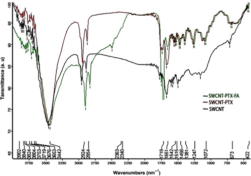 Figure 4. FT-IR spectra of SWCNT (black), SWCNT-PTX (red), and SWNT-PTX-FA (green).