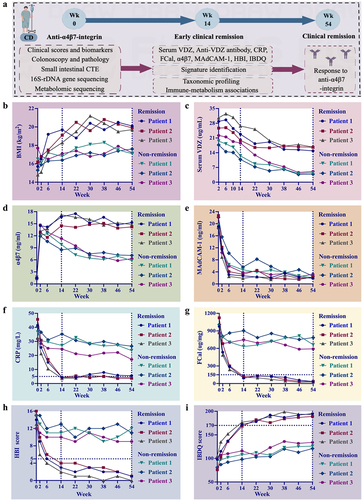 Figure 7. Anti-α4β7 integrin provides sustained therapeutic benefits in clinical remission cases during follow-up. (a) Overall overview of clinical experiments in our study; (b – g) comparisons for biomarker trajectories at individual time points; (h – i) comparisons for clinical score trajectories at individual time points. (n = 3 in each group).