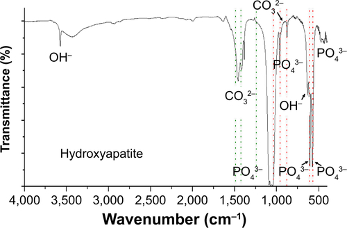 Figure S9 FTIR spectrum of hydroxyapatite.Abbreviation: FTIR, Fourier transform infrared.