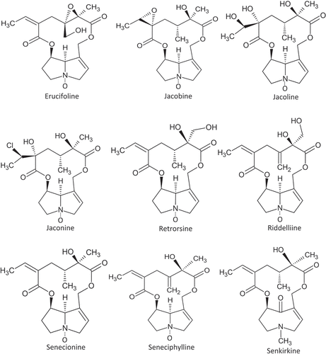 Figure 1. Major pyrrolizidine alkaloids in Senecio plants (oxidation at the nitrogen atom indicates the N-oxide form).