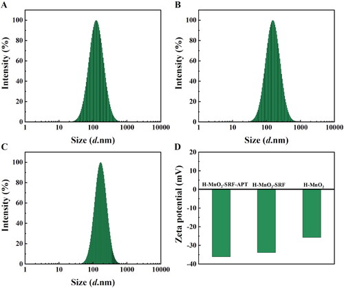 Figure 3. (A–C) Hydrated particle size of H-MnO2, H-MnO2-SRF, H-MnO2-SRF-APT. (D) Potential of different nanoparticles.