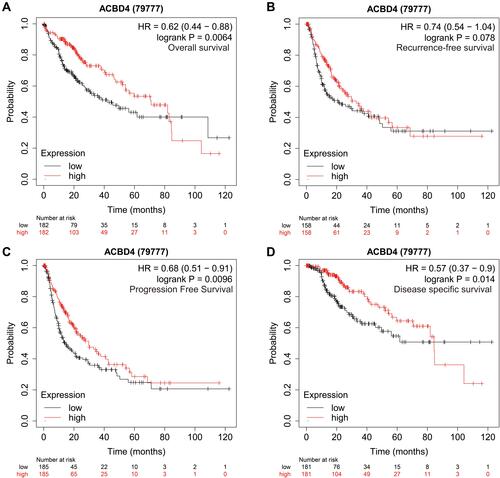 Figure 6 Prognostic value of ACBD4 gene in TCGA HCC cohort. (A) Kaplan-Meier curve of ACBD4 in HCC recurrence-free survival time; (B) Kaplan-Meier curve of ACBD4 in HCC overall survival time; (C) Kaplan-Meier curve of ACBD4 in HCC progression-free survival time; (D) Kaplan-Meier curve of ACBD4 in HCC disease-specific survival time.