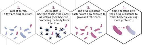 FIGURE 2 How exposure to antibiotics creates resistance (CDC, Citation2013, p. 14). © CDC. Reproduced by permission of the CDC. Permission to reuse must be obtained from the rightsholder.