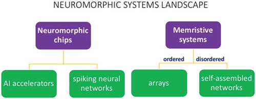 Figure 1. Schematic outline of the neuromorphic systems landscape, broadly subdivided by silicon-based neuromorphic chips and beyond-silicon memristive devices, the latter further subdivided into ordered systems (fabricated by top-down methods) and disordered systems (synthesised by bottom-up methods)