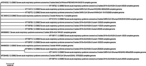 Figure 1. Phylogenetics trees of full-length sequences showing the likelihood of relatedness of some sequenced strains in China, Hong Kong, Vietnam and USA (Sequence source: NCBI genbank. Molecular Phylogenetic analysis was carried out by the authors. Tree was constructed using Maximum Likelihood method).