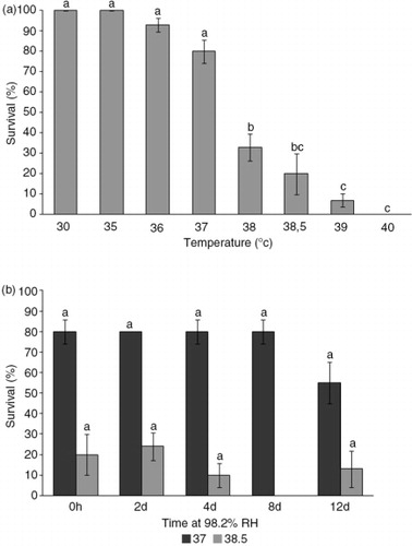 Fig. 4  Survival (%) of larvae of E. murphyi (a) after exposure to progressively higher temperatures (30–40°C) for 2 h and (b) after exposure to 37 or 38.5°C, following prior exposure to 98.2% relative humidity (RH) for 6 h, 2 days, 4 days, 8 days and 12 days. Means±standard error of the mean are presented for three replicates of 10 individuals. Survival was assessed 72 h after treatment. Means with the same letter are not significantly different across temperature treatments (a) and between temperature treatments (b) at p<0.05 (Tukey's multiple range test).