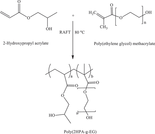 Figure 5. Scheme 5: Reaction outline in the synthesis of poly(2HPA-g-EG) graft copolymer.