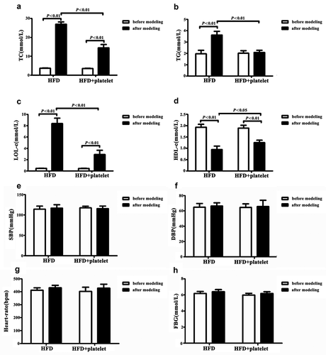 Figure 3. Alteration in lipid metabolism in atherosclerotic mice were significantly ameliorated by platelet intervention, but blood pressure and glucose levels remained unchanged. (a) Total cholesterol (TC) levels. (b) Triglycerides (TG) levels. (c) Low-density lipoprotein cholesterol (LDL-C) levels. (d) High-density lipoprotein cholesterol (HDL-C) levels. (e) Systolic blood pressure (SBP) levels. (f) Diastolic blood pressure (DBP) levels. (g) Heart rate levels. (h) Fasting blood glucose (FBG) levels. Abbreviations: HFD, high-fat diet.