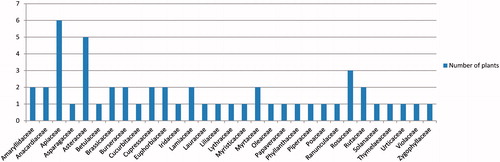 Figure 5. Number of plant species per family used for herbal oil preparation.