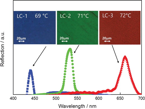 Figure 5. Typical reflection profiles of the three different chiral mixtures LC-1, LC-2, and LC-3 at an identical reduced temperature (1°C above TBPII), giving blue, green, and red reflections, respectively.