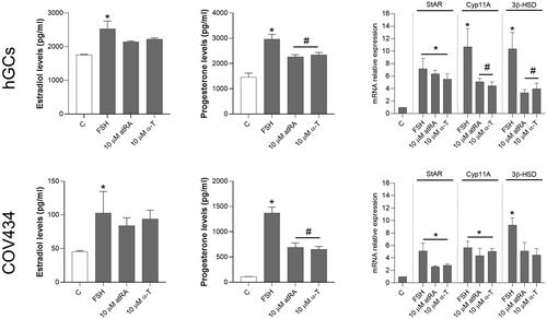 Figure 6. Analysis of atRA and alpha-tocopherol treatments on the release of progesterone and estradiol and on the mRNA levels of steroidogenic enzymes in human GCs. After the five-day incubation period, FSH combined with either 10 µM of atRA (A) or alpha-tocopherol (C) caused an inhibition of estradiol and progesterone release by granulosa cells. FSH stimulation induced changes in the transcriptions (mRNA level) of the steroidogenic enzymes in both hGCs and COV434 cells by quantitative real-time RT-PCR method. (B) atRA induced an reduction in the expression of StAR and aromatase, whereas Cyp11a1, 3β-HSD and 17β-HSD expression did not change significantly after atRA stimulation. The alpha-tocopherol at 10 µM for five days caused a dose-dependent decrease in the secretion of progesterone and in the expressions of StAR and Cyp11a1, but did not cause a notable change in the 3β-HSD mRNA expression (*p < 0.05 compared with respective untreated control; #p < 0.05 compared with FSH treatment; one-way ANOVA with Tukey’s ad hoc post-test).