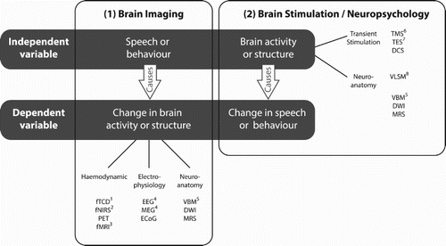 Figure 1. Taxonomy of methods for studying the neural basis of spoken language understanding. Experimental methods included in the current special issue are marked with a superscript: (1) fTCD: functional transcranial Doppler (Badcock & Groen, Citation2017); (2) fNIRS: functional near infrared spectroscopy (Peelle, Citation2017); (3) fMRI: functional magnetic resonance imaging (Evans & McGettigan, Citation2017); (4) EEG and MEG: electroencephalography and magnetoencephalography (Wöstmann et al., Citation2017); (5) VBM: voxel-based morphometry (Marie & Golestani, Citation2017); (6) TMS: transcranial magnetic stimulation (Adank et al., Citation2017); (7) TES: transcranial electrical stimulation (Zoefel & Davis, Citation2017); and (8) VLSM: voxel-based lesion-symptom mapping (Wilson, Citation2017). Several neuroantomical methods are listed twice in this figure to reflect uncertainty about whether neural differences are caused by or a cause of differences in behaviour. Other methods listed in the figure include: PET: positron emission tomography; ECoG: electrocorticography; DWI: diffusion weighted imaging; MRS: magnetic resonance spectroscopy; and DCS: direct cortical stimulation.