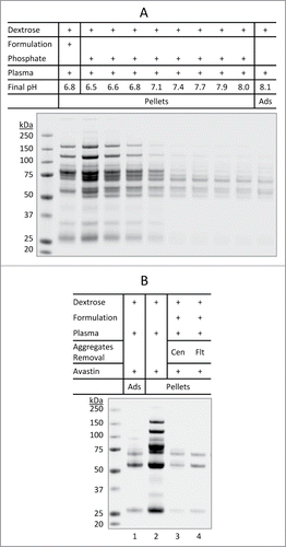 Figure 5. Aggregation of plasma proteins as a prerequisite of Avastin aggregation in the presence of dextrose. (A) pH-dependent aggregation of plasma proteins. Aliquots of dextrose (0.3 mL) were mixed with either 10 µL of Avastin formulation (no mAb API) or 7.5 µL of phosphate buffer (0.2 M) with different starting pH (5.9 to 8.0). After mixing with 10 µL of plasma, the mixture at the indicated final pH was incubated for 10 min at 25°C, the pellets were collected and analyzed. (B) Removal of pre-formed aggregates of plasma proteins prevented dextrose mediated aggregation of Avastin. Aggregates formed in the mixture of Avastin formulation (no mAb API) and dextrose-plasma solution were removed by either centrifugation (Cen) or filtration (Flt) through 0.22 µm filter. Avastin was then added and the pellets were analyzed.