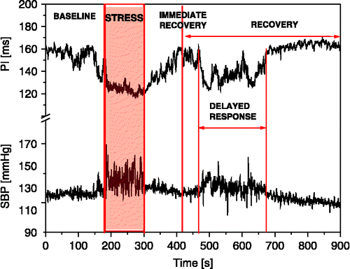 Figure 1  Time course of SBP and PI changes in a rat exposed to air-jet stress. Exposure to air-jet induces simultaneous increases in SBP and shortening of PI followed by three distinct dynamic regions of SBP and PI changes during recovery: fast (immediate recovery), slow (recovery), and delayed response.