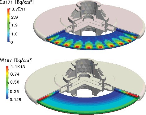 Figure 5. Distribution along the target elements of the 187W and171Lu radionuclides after the shutdown.