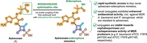 Figure 2. Summary of the present invention and key advantages of the chosen approach. Note that key structural features of aztreonam, including (i) aminothiazoloxime (ATMO) sidechain which enhances Gram-negative activity, (ii) an essential β-lactam ring acylating warhead, (iii) methyl group that improves stability toward β-lactamases, and (iv) N-1 heteroatom activation provided by sulfonic acid are highlighted in orange, violet, cyan, and salmon color, respectively. A site where patent assignees envisaged the installation of siderophore mimetic with a hope to enhance activity against MDR Gram-negative pathogens is shown in a green box.