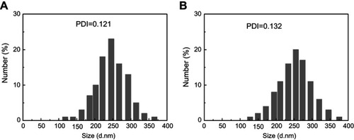 Figure S5 Size distribution of (A) FA-JGMSNs-Ber, and (B) FA-JGMSNs-Ber after 7-days storage in water.