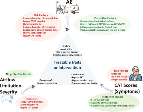 Figure 2 Treatable traits and interventions derived from our multivariate logistic regression analysis to reduce AE and improve lung function and symptoms.