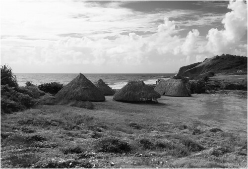 Figure 9. Experimental reconstruction of five houses in the Cayo village of Argyle, Saint Vincent. (Photo by Menno L.P. Hoogland, 2017).