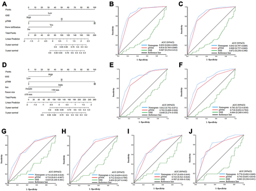 Figure 5 (A–C) Nomogram model predicting the 3- and 5-year survival of ≤60 in training cohort. (D–F) Nomogram model predicting the 3- and 5-year survival of >60 in training cohort. (G and H) Nomogram model predicting the 3- and 5-year survival of ≤60 in validation cohort. (I and J) Nomogram model predicting the 3- and 5-year survival of >60 in validation cohort.