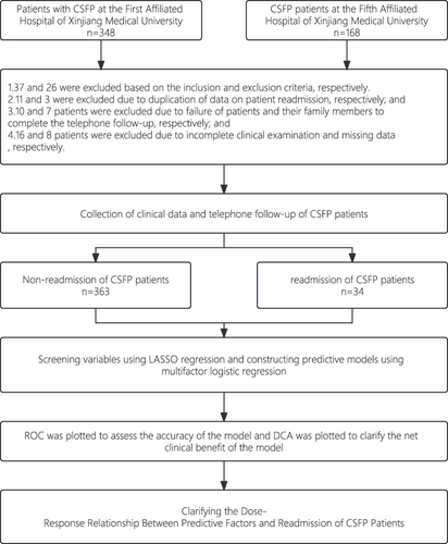 Figure 1 Patient Screening and Grouping Flowchart.