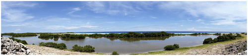 FIG. 7 Panorama of the flooded saltpans of Punta Salinas (photograph, José Voglar).