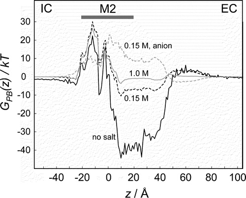 Figure 6. PB profiles of a monovalent cation (Na+) through the intact α7 nAChR channel at various ionic strengths (zero ionic strength = solid black line; 0.15 M NaCl = broken black line; 1.0 M = solid grey line). The PB profile is also shown for a monovalent anion (Cl−) in the presence of 0.15 M NaCl (broken grey line).