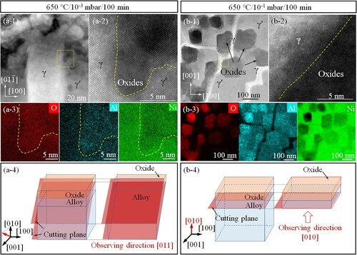 Figure 5. TEM analysis of two samples oxidized under 10−3 and 10−1 mbar oxygen pressure at 650°C for 100 min. (a-1) and (a-2) The HAADF images of the sample under 650°C-10−3 mbar for 100 min in low and high magnification. The observing direction is [011]. (a-3) The O, Al, and Ni distribution map of the (a-2). (a-4) The schematic image of lifting out the sample in (a-1). (b-1) and (b-2) the HAADF images of the sample under 650°C-10−1 mbar for 100 min in low and high magnification. The observing direction is [010]. (b-3) The O, Al, and Ni distribution map of the (b-2). (b-4) The schematic image of lifting out the sample in (b-1).