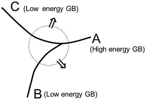 Figure 31. Schematic showing a high-energy grain boundary A penetrated by two low-energy grain boundaries B and C, where the energetic relation, γA > γB + γC, is satisfied (reproduced with permission from [Citation82] © 2004 AIP Publishing LLC).