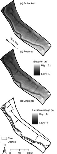 Fig. 5 Elevation of Hunworth Meadow study site showing (a) before and (b) after embankment removal, and (c) the difference in elevation. The DEMs were created using dGPS survey data collected in (a) June 2008 and (b) July 2009.
