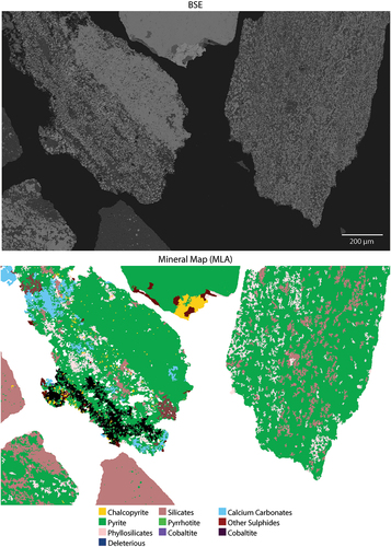 Figure 3. BSE image and mineral map showing the main minerals present in the samples. Sample OD1-FGP. Deleterious groups tetrahedrite, enargite and arsenopyrite.