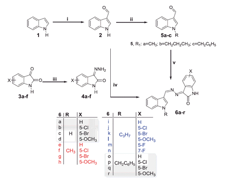 Scheme 1. Synthesis of target compounds 6a–r; Reagents and conditions: (i) dry DMF/POCl3/NaOH/H2O/2 h, (ii) alkyl (or benzyl) bromide/THF/NaH, r.t. 12 h, (iii) CH3OH/NH2NH2.H2O/reflux 1 h, (iv) EtOH/AcOH (catalytic)/reflux 3 h and (v) Hydrazones 4a–d/EtOH/AcOH (catalytic)/reflux 3 h.