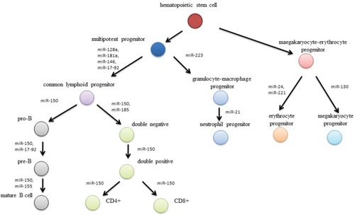 Figure 1 Effect of microRNA-expression disturbances on leukemogenesis processes.