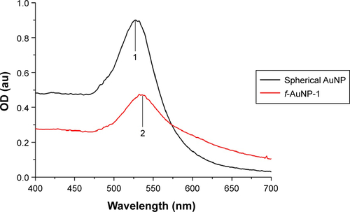 Figure S1 UV-vis spectra of spherical AuNP (black line) and f-AuNP-1 (red line). λmax: 1—527 nm; 2—536 nm.Abbreviations: AuNP, gold nanoparticle; OD, optical density.
