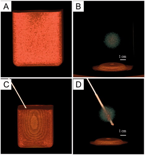 Figure 6. 3 D-CT imaging of the tumor-bearing tissue phantom (SAMATOM Force, 40 mA 120 kV). A: 3 D-CT imaging of the phantom model: B: the 3 D-CT image illustrates the tumor embedded in normal tissue phantom. C, D: the 3 D-CT images of puncture needle that was advanced into the tumor.