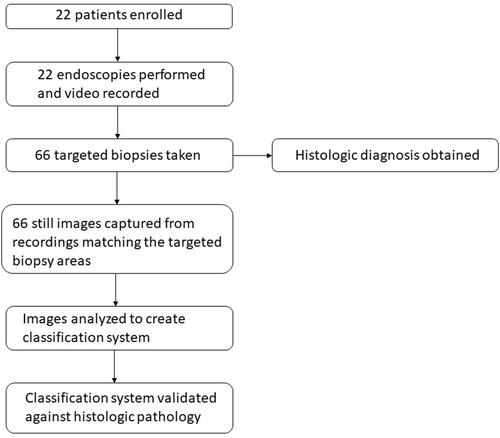 Figure 2 Study design. Twenty-two patients with known or suspected BE were enrolled in the study and underwent endoscopy. The endoscopies were video-recorded and still shots were obtained which were then used to devise the classification system. The classification system was then blindly tested against the histologic findings from targeted biopsies for its predictive capacity.