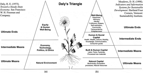 Figure 1. A strong sustainability framework known as Daly’s Triangle, in which the natural environment is viewed as the ‘ultimate means’ to achieve the ‘ultimate ends’ of human well-being (including equity), whereas economy, technology, politics, and ethics are ‘intermediate means’ to bridge the ultimate means and ultimate ends (redrawn from Daly, Citation1973; Meadows, Citation1998).